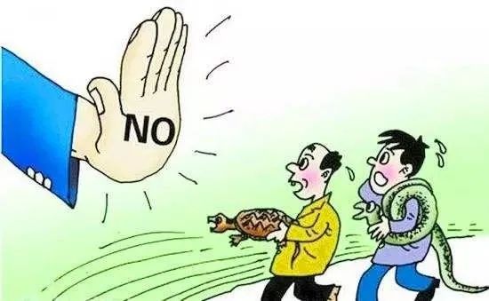 200918拒食野生动物,争做文明公民 (3).jpg