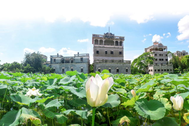 1633861217.png 图片