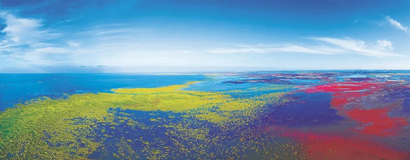 220607国家林业和草原局局长关志鸥:全面贯彻实施湿地保护法 推进湿地保护工作高质量发展 (2).jpg