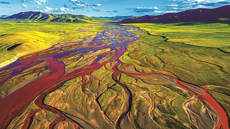 220607国家林业和草原局局长关志鸥:全面贯彻实施湿地保护法 推进湿地保护工作高质量发展 (1).jpg