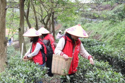 230412江门市自然资源局妇委会开展“巾帼心向党,奋进新征程”三八妇女活动 (4).jpg