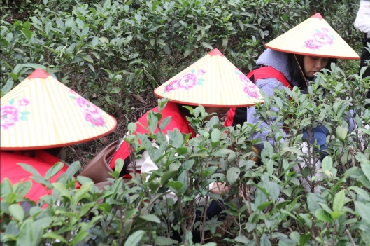 230412江门市自然资源局妇委会开展“巾帼心向党,奋进新征程”三八妇女活动 (5).jpg