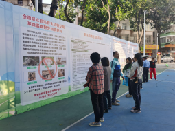 231205保护野生鸟类,共建绿美江门 (5).png