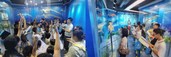 240904认识中华白海豚,共筑生态梦 (3).png