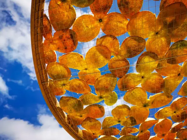 晒陈皮 郭永乐摄