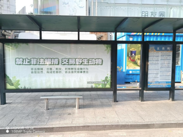 241212保护野生动物,共建绿美江门 (7).png