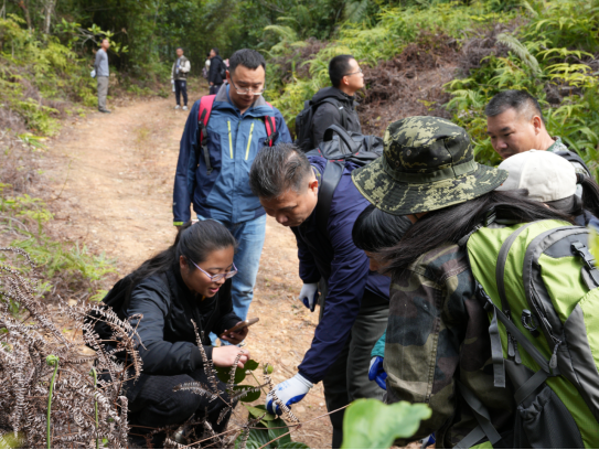 250106加强种质资源保护,夯实生态文明基础——江门市自然资源局召开种质资源调查考察现场会 (2).png