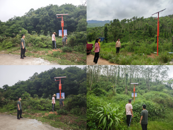 250225森林防火 我们在行动 (2).png