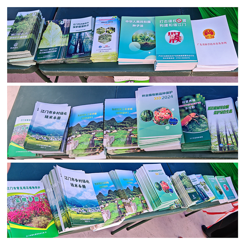 250319江门市开展2025年乡村绿化送苗送技下乡活动 (5).jpg