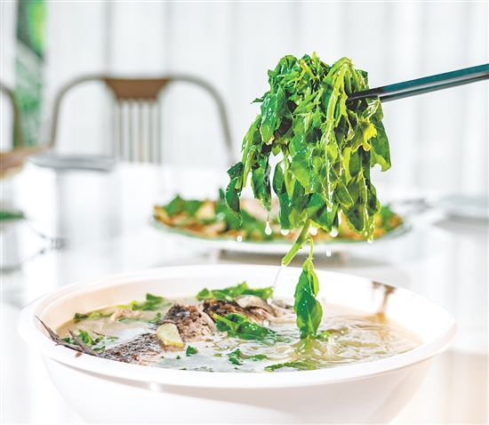 簕菜鲫鱼汤鲜甜美味。