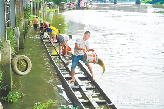 掏泥沙、舀泥浆,长沙街道爱民村委会杜澄村村民分工合作,“请”出河中的“金龙”。 掏泥沙、舀泥浆,长沙街道爱民村委会杜澄村村民分工合作,“请”出河中的“金龙”。
