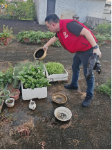 250807防蚊灭蚊,我们在行动——江门市自然资源局开展爱国卫生运动 (1).png