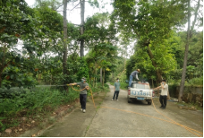 250807防蚊灭蚊,我们在行动——江门市自然资源局开展爱国卫生运动 (7).png