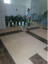 250807防蚊灭蚊,我们在行动——江门市自然资源局开展爱国卫生运动 (10).png