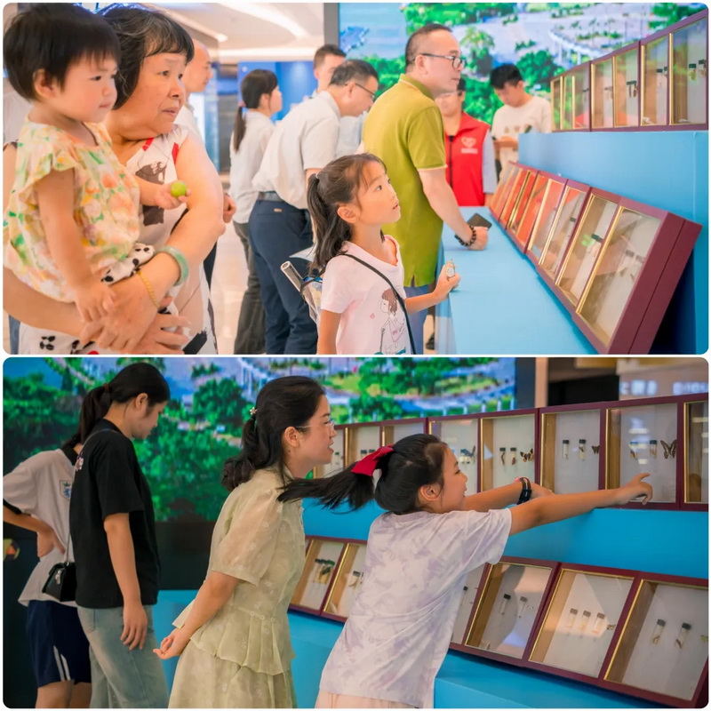 250818共筑生态防线•守护绿美江门 江门市林业有害生物防控科普活动圆满举行 (11).jpg
