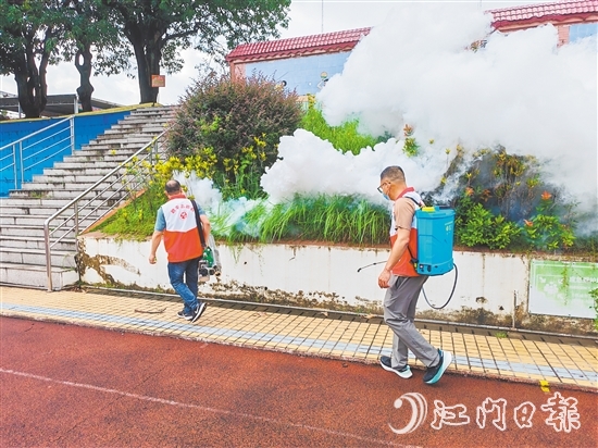 行动中，志愿者分工协作，清理蚊虫孳生地，开展消杀工作。