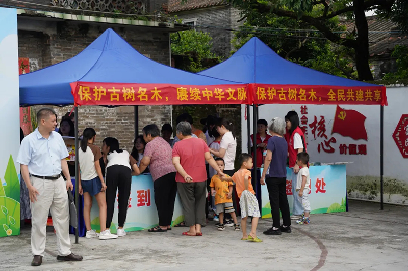 250821江门市自然资源局举办 “古树公园探秘行动” 聚焦绿色古董守护与科普 (3).jpg