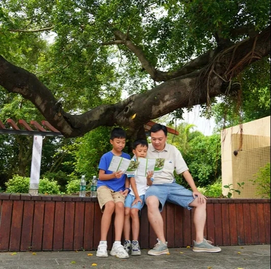 250821江门市自然资源局举办 “古树公园探秘行动” 聚焦绿色古董守护与科普 (9).jpg