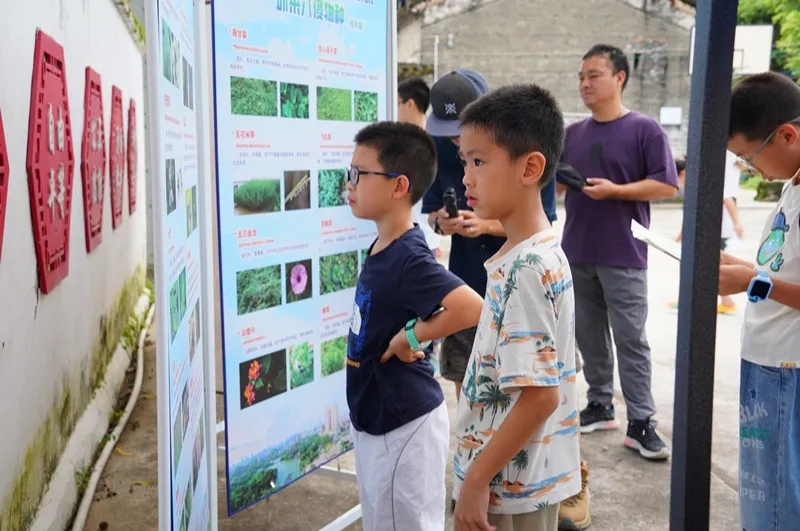 250821江门市自然资源局举办 “古树公园探秘行动” 聚焦绿色古董守护与科普 (12).jpg