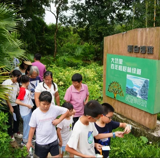 250821江门市自然资源局举办 “古树公园探秘行动” 聚焦绿色古董守护与科普 (18).jpg