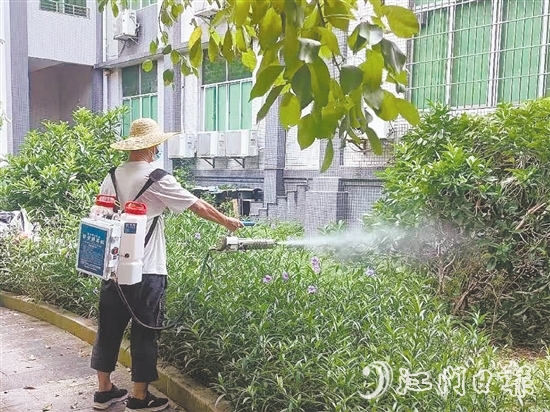 台山发动全市力量,从环境整治、科学消杀到宣传教育,开展一场全域动员、全民参与的防蚊灭蚊攻坚战。 台山发动全市力量,从环境整治、科学消杀到宣传教育,开展一场全域动员、全民参与的防蚊灭蚊攻坚战。