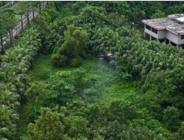 台山市社：闻令而动，多向发力！扎实推进基孔肯雅热防控工作