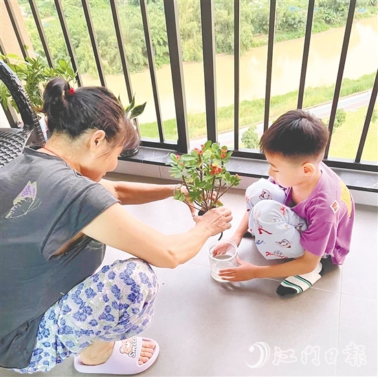 台山学子带动家庭成员一起清积水、灭蚊虫、搞卫生。 台山学子带动家庭成员一起清积水、灭蚊虫、搞卫生。