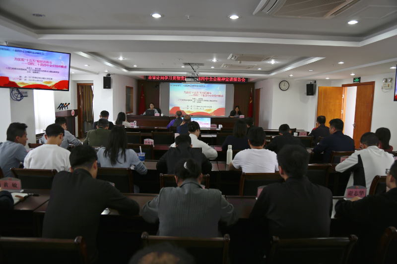 市审计局举办学习贯彻党的二十届四中全会精神宣讲报告会