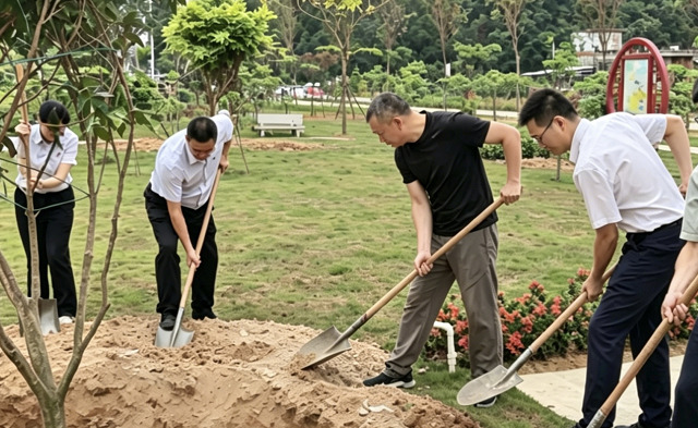 党建引领添新绿——市土地储备中心党支部联合中国建设银行江翠支行党支部开展