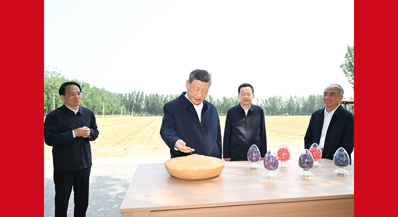 习近平在山东德州考察