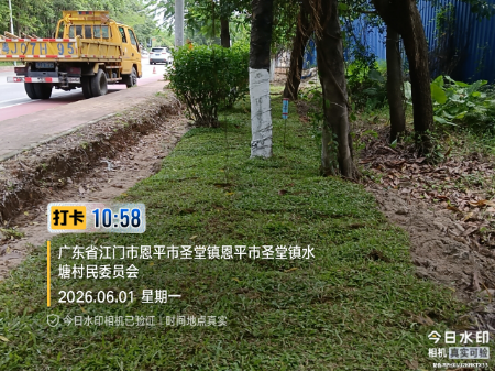 图16:省道369线圣堂段种植草皮后.jpg