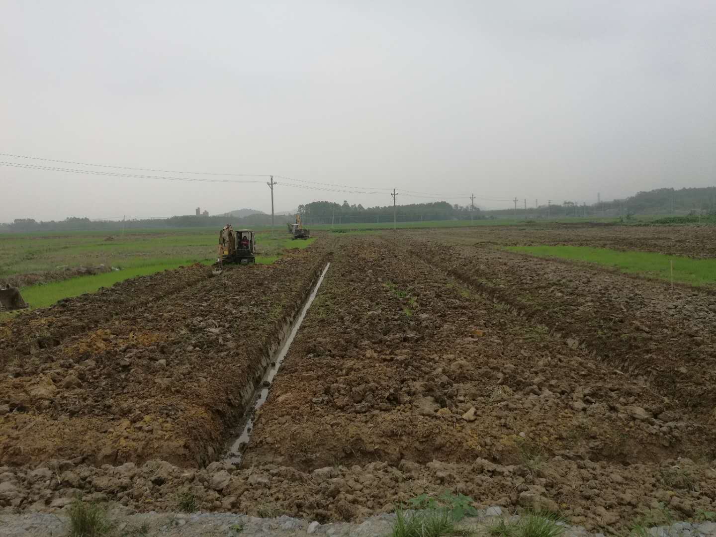 image003.jpg image003.jpg