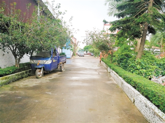 杜阮镇松园市场旁经过整治，没有继续出现乱堆放杂物情况，一直保持着干净、整洁的状态。胡晴晴摄